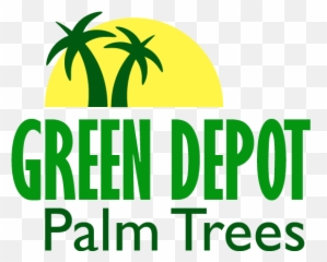 Green Depot Palm Trees U003e Contactus - Clip Art png