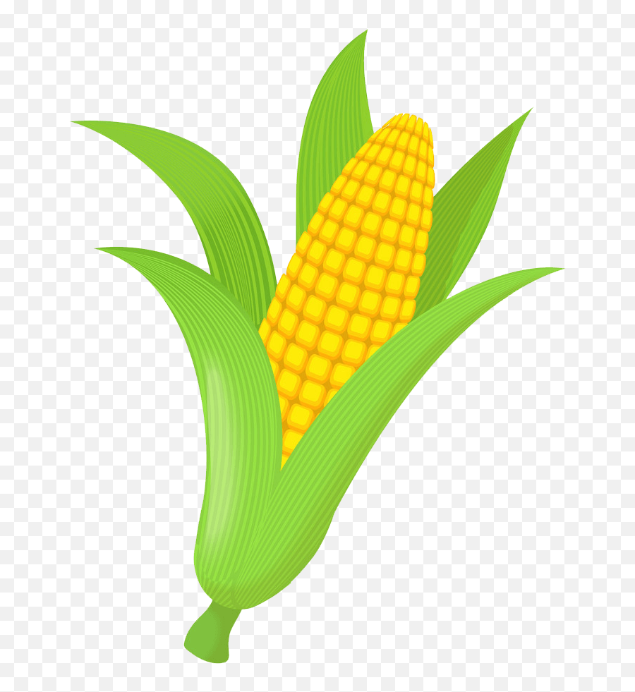 Icon Corn Clipart Transparent - Clipart World Corn Cartoon Png,Grains Icon