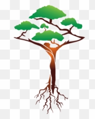 Bonsai Professional Coaching Services - Tree Company Png,Bonsai Tree Png
