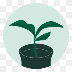 Striving For A Sustainable Future Starbucks Coffee Company - Sustainability png
