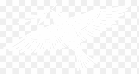 Investment - Johns Hopkins Logo White png
