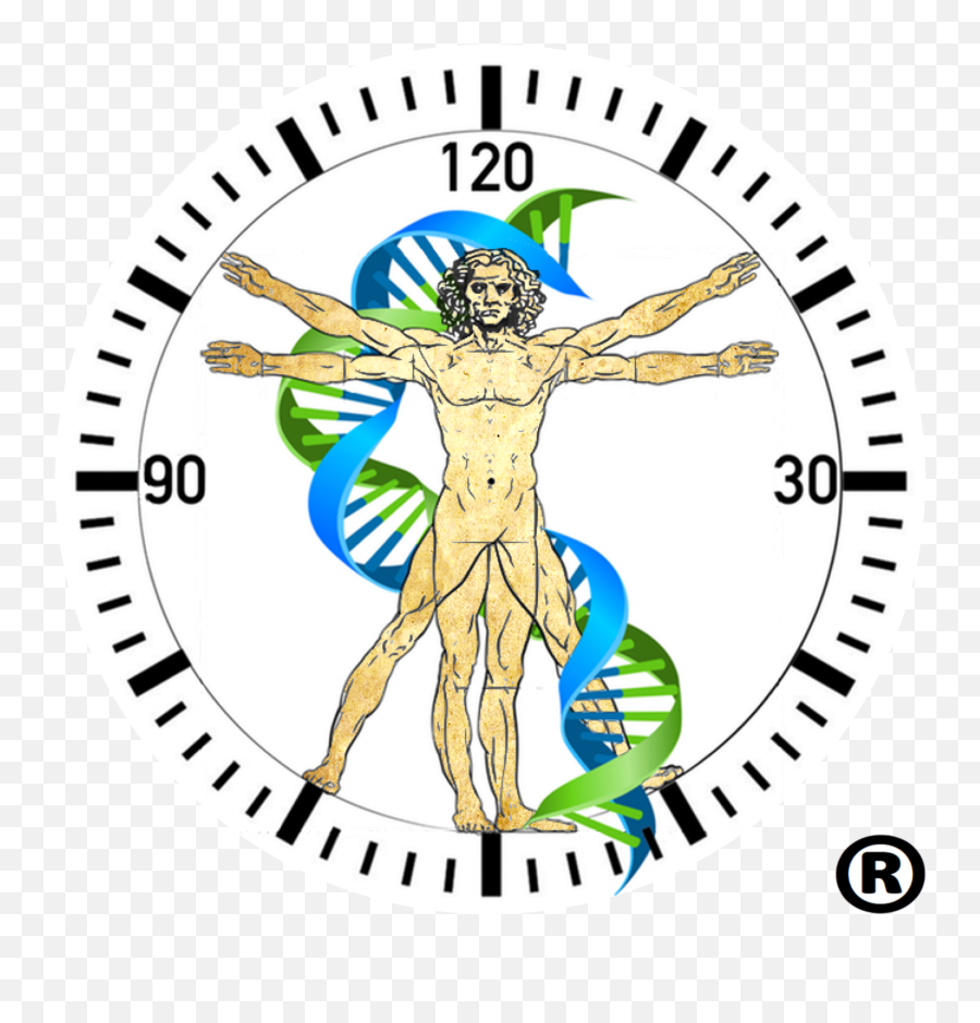 Support - Clock Twenty To Seven Png,Vitruvian Man Icon