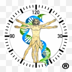 Support - Clock Twenty To Seven png