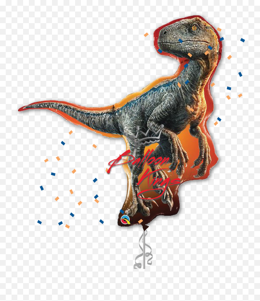 Jurassic World Raptor - Jurassic World Fallen Kingdom Foil Balloon Png,Velociraptor Png