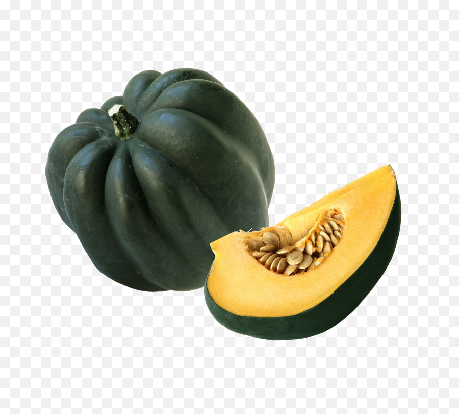 Download Acorn Squash Png Hd - Acorn Squash Png,Acorn Transparent Background