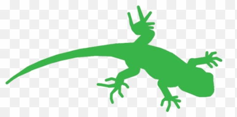 Leopard Lizard Clipart Popcorn - Dragon 500x247 png