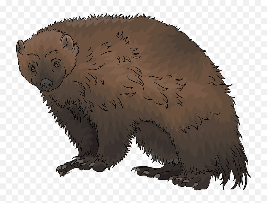 Wolverine Clipart Free Download Transparent Png Creazilla - Grizzly Bear,Hugh Jackman Png