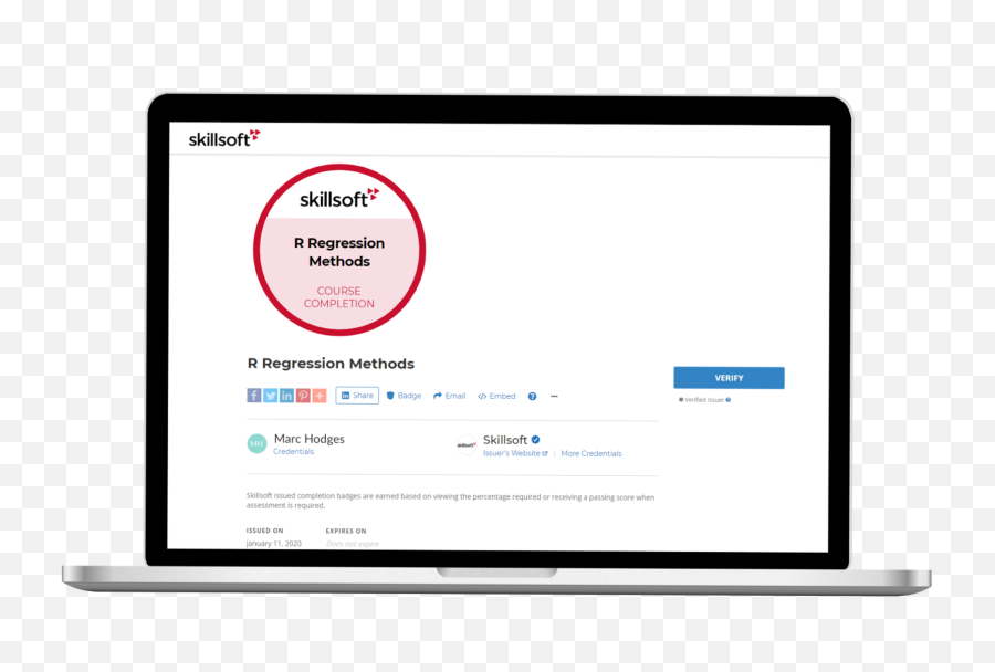 Digital Badges - Skillsoft Screenshot Png,Badge Logo