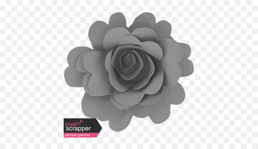 Flowers No15 U2013 Flower 4 Template Graphic By Elif Ahin - White Mexican Rose Png,Mexican Flowers Png