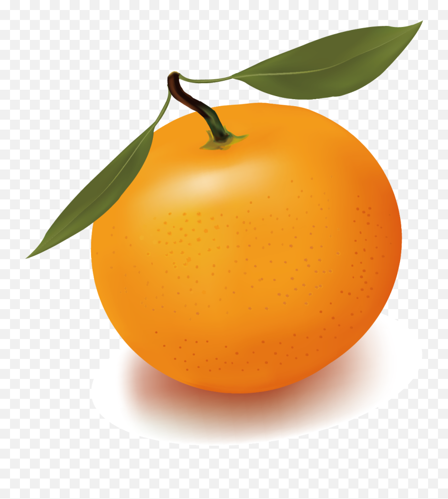 Orange Juice Free Content Clip Art - Png Download Full Clipart Cartoon Orange,Orange Juice Png