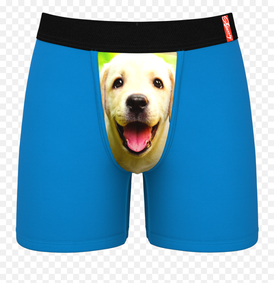 Best In Show Puppy Ball Hammock Boxer Briefs - Underwear With Puppies Png,Puppy Png