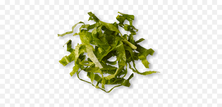 Chipotle - Type Of Lettuce Does Chipotle Use Png,Romaine Lettuce Png