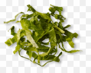 Chipotle - Type Of Lettuce Does Chipotle Use Png,Romaine Lettuce Png