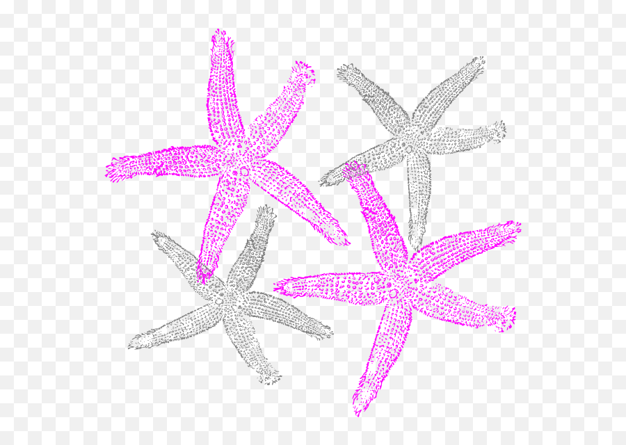 Pink And Navy Starfish Clipart Prints Clip Art - Fish Clip Art Png,Starfish Transparent Background