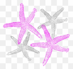Pink And Navy Starfish Clipart Prints Clip Art - Fish Clip Art Png,Starfish Transparent Background