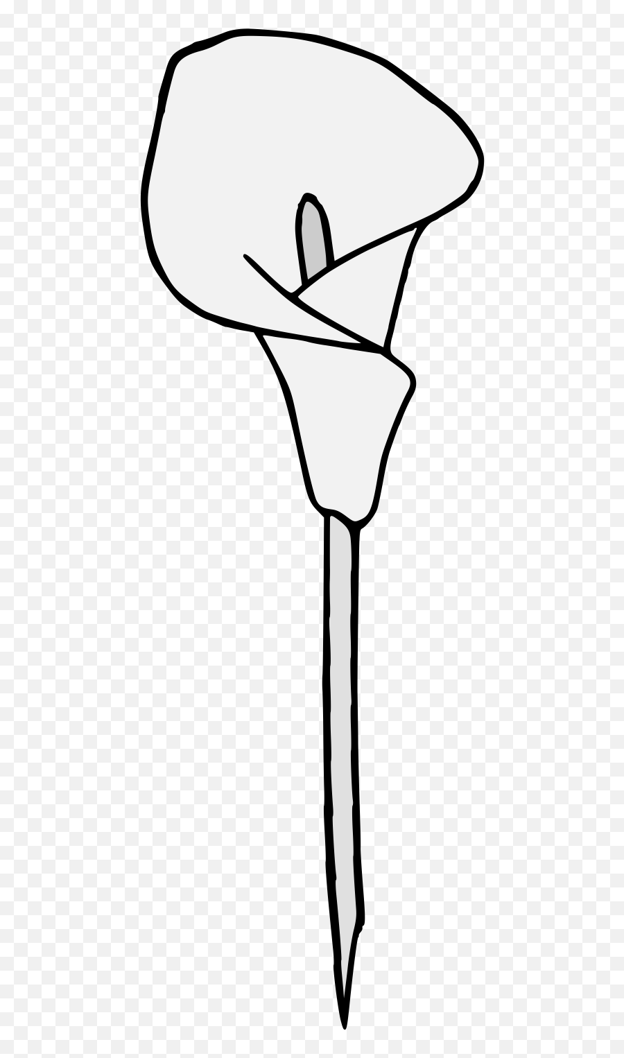 Calla Lily - Traceable Heraldic Art Horizontal Png,Calla Lily Png