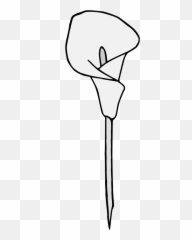 Calla Lily - Traceable Heraldic Art Horizontal Png,Calla Lily Png