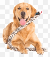 Home U2013 Mammoth Pet Products U2014 Official Website - Martingale Png,Dog Toy Png