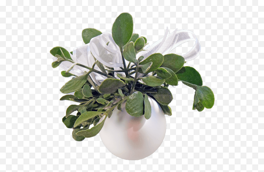 Download Hd Real Mistletoe Png - Mistletoe Artificial Flower,Mistletoe Png