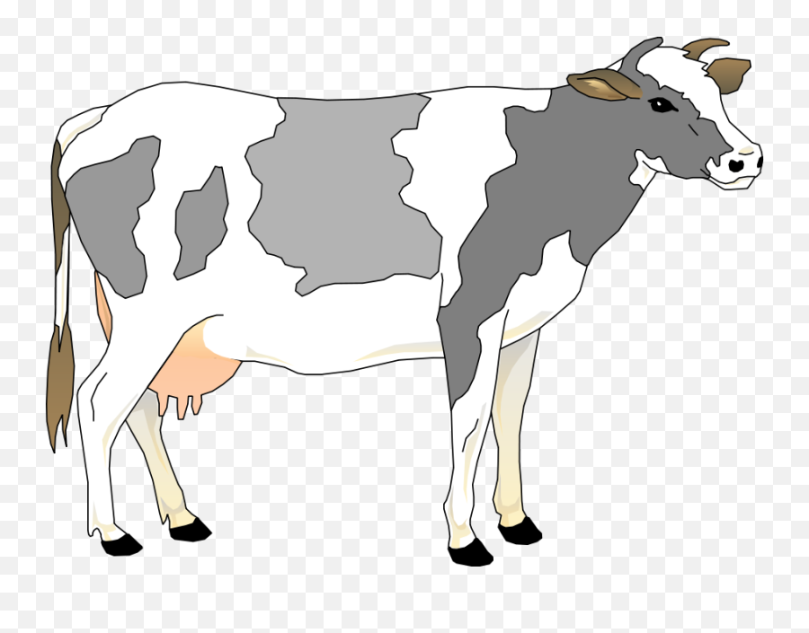Cattle Vector Qurbani Transparent U0026 Png Clipart Free - Realistic Cow Clip Art,Cattle Png