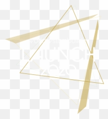 Launch 2020 U2013 Wsb - Horizontal Png,Wfg Logo Png