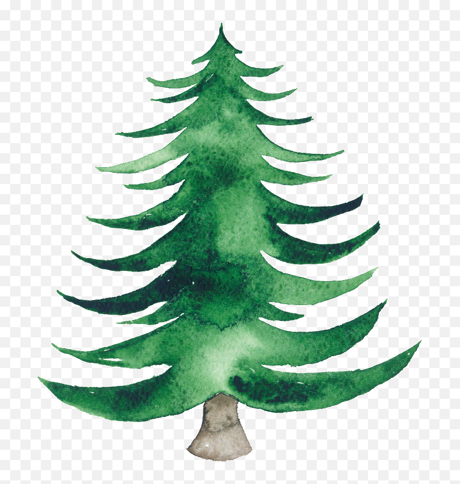 Gerahmtes Poster Pine Tree Marmont Hill - Watercolor Christmas Tree Png,Pine Tree Transparent