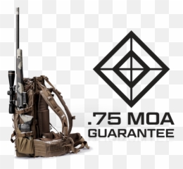 Model 2020 Waypoint Rifles - Springfield Armory png
