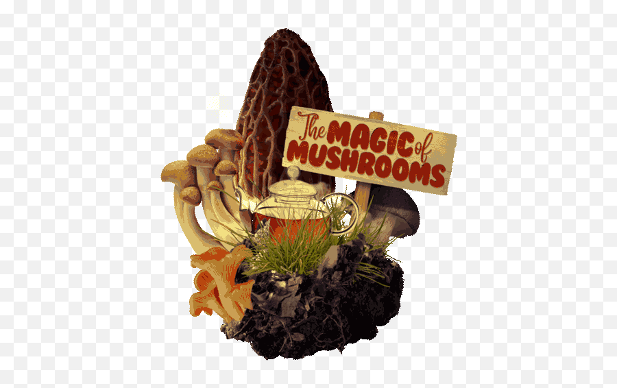 Custom Culinary - The Magic Of Mushrooms Yellow Morel Png,Mushrooms Icon