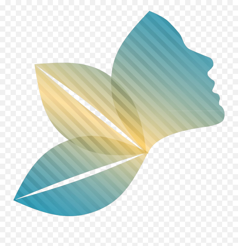 Herndon Dental Arts - Dentist In Herndon Va Butterfly Png,Demandforce Icon