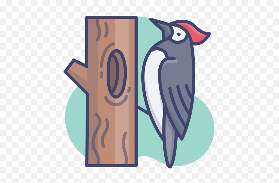 Animal Bird Pecker Woodpecker Icon - Songbirds Png,Woodpecker Icon