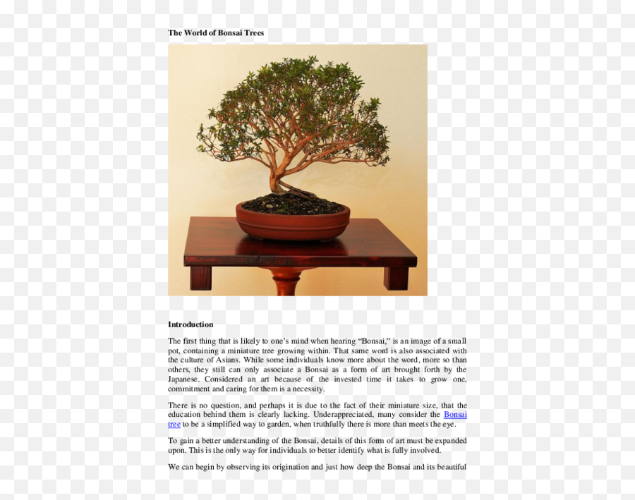 Pdf The World Of Bonsai Trees Jason Cole Jr - Academiaedu Sageretia Theezans Png,Bonsai Tree Png