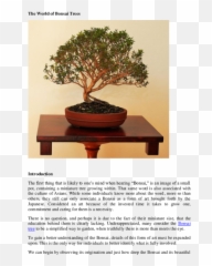 Pdf The World Of Bonsai Trees Jason Cole Jr - Academiaedu Sageretia Theezans Png,Bonsai Tree Png