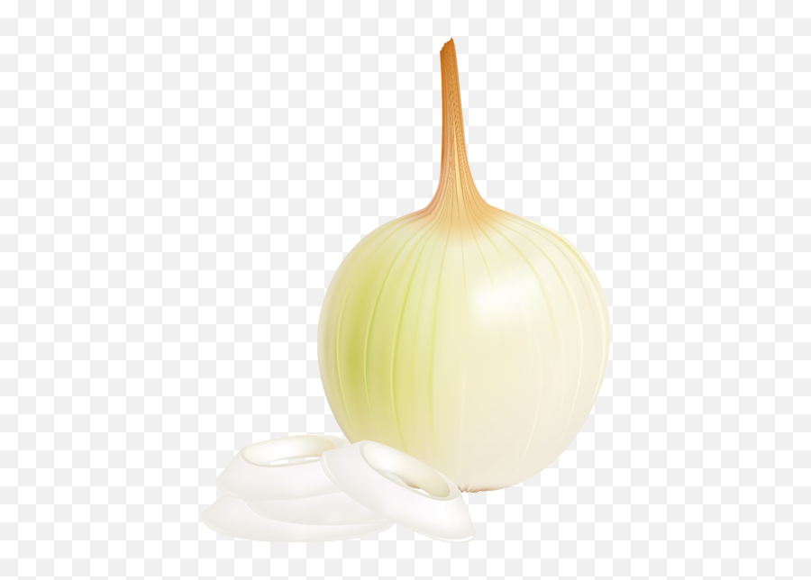 Onion Png Picture Clipart Clip Art Free Pictures - Elephant Garlic,Onion Png