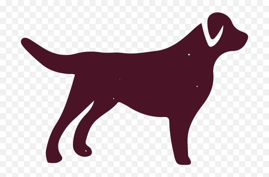 Hemp Well - Organic Hemp Health For Pets Png,Labrador Retriever Icon