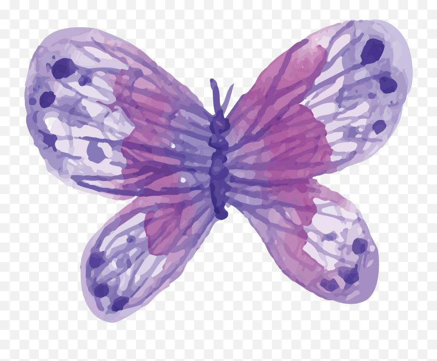 Download Hd Watercolor Butterfly Png - Purple Watercolor Butterfly Png,Purple Butterfly Png