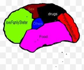 Human Brain Clipart Png Image - 4 Kids