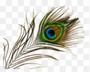 Transparent Peacock Png - Mor Pankh Png Hd,Peacock Png