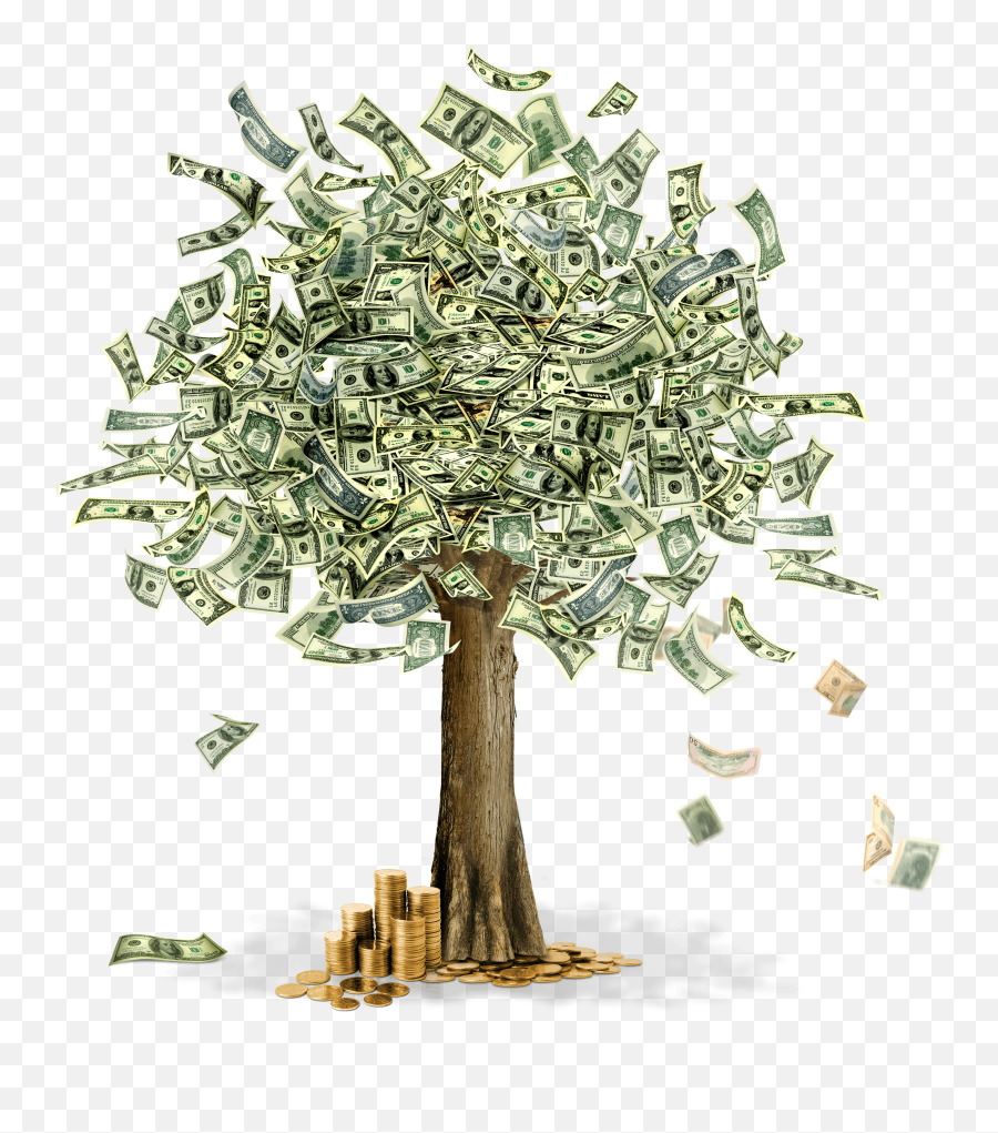 Download Free Png Money Tree Image - Dlpngcom Tree With Dollar Bills,Fruit Tree Png