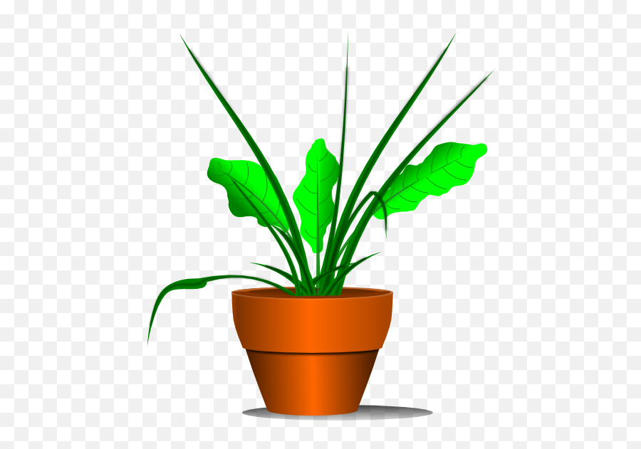 Library Of Plant Images Picture Freeuse - Free Plant Clipart Png,Plant Transparent Background