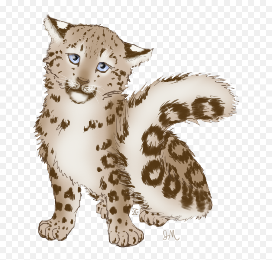 Vector Royalty Free Chocolate Cub By - Mammal Png,Snow Leopard Png