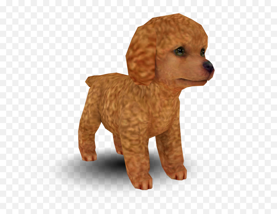 3ds - Nintendogs Cats Toy Poodle The Models Resource Nintendogs And Cats Toy Poodle Png,Poodle Png