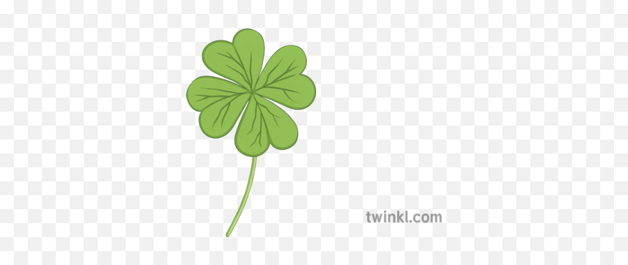 4 Leaf Clover Pshe Debate Saint Patricks Day Irish Ireland - Shamrock Png,Four Leaf Clover Png