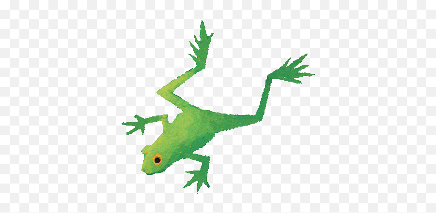 Index Of Mediaimagesindexcharacters - Gecko Png,Frog Png