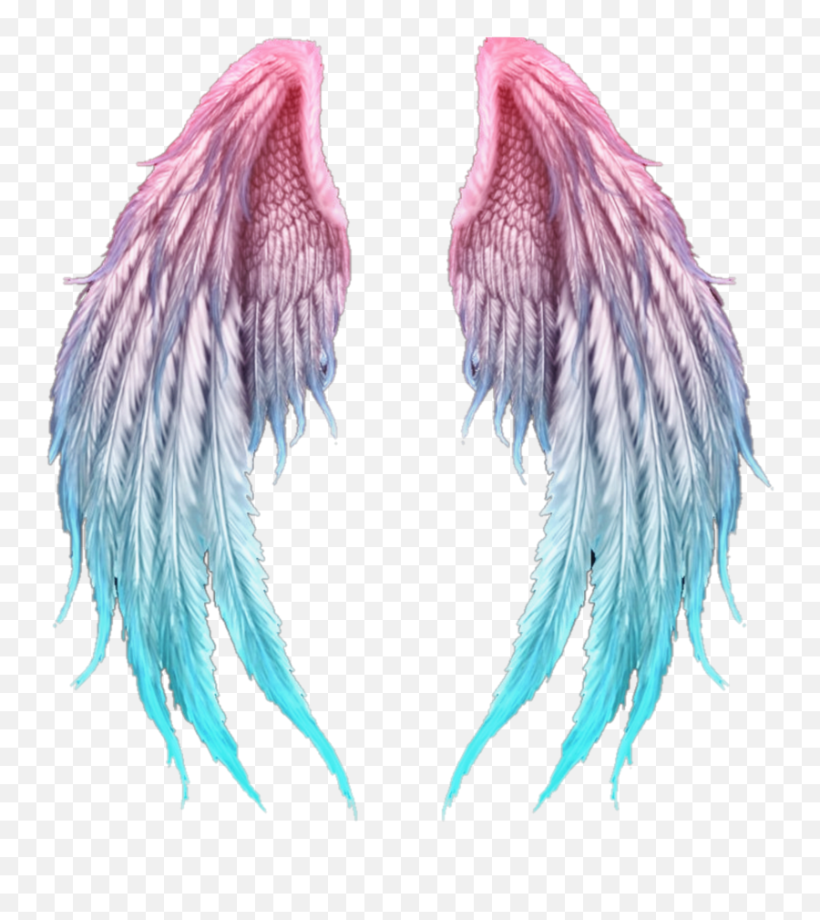 Download Editing Picsart Hd Png - Uokplrs Angel Blue Wings Png,Editing Pngs