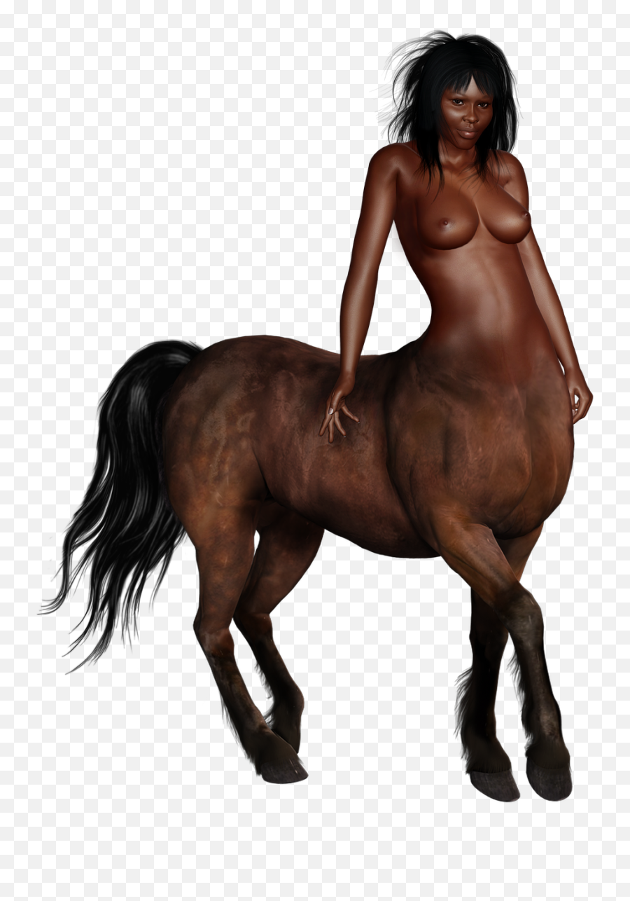 Free Image - Centaur Horse Person Woman Ni Kentaur Png,Centaur Png