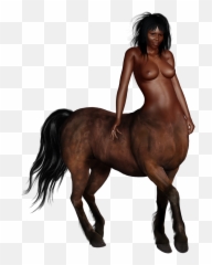 Free Image - Centaur Horse Person Woman Ni Kentaur Png,Centaur Png