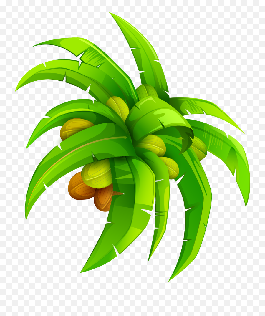 Download Leaf Vector Png Coconut Transparent - Uokplrs Cartoon Coconut Leaf Texture,Banana Tree Png