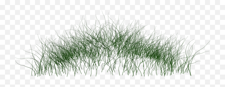 Water Grass Png 2 Image - Water Plant Png,Grass Png