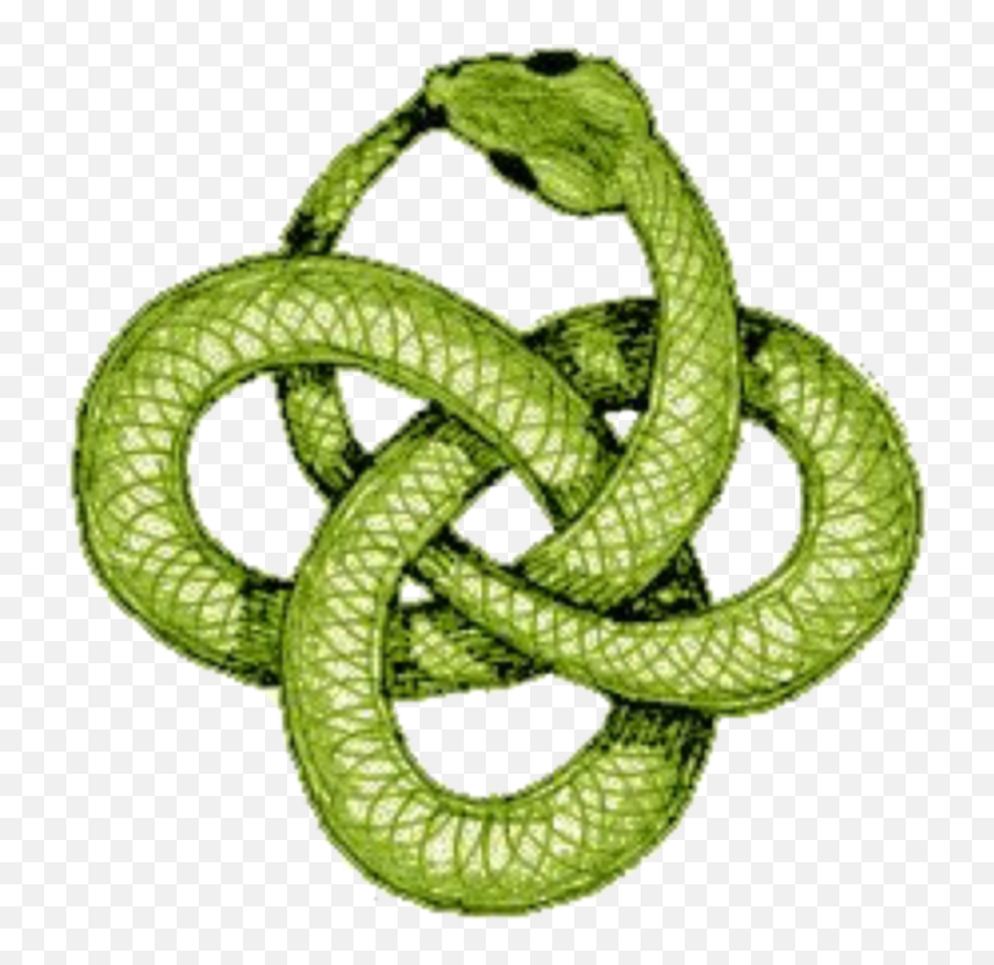 Download Hd Green Snake Png Transparent - Ouroboros Knot Tattoo,Green Snake Png