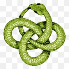 Download Hd Green Snake Png Transparent - Ouroboros Knot Tattoo